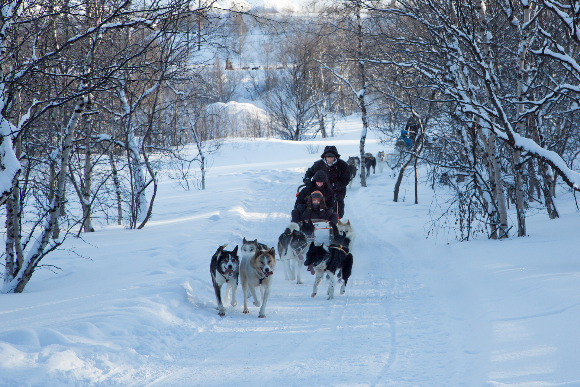 King Crab Safari Winter 09:30 - Snow Resort Kirkenes
